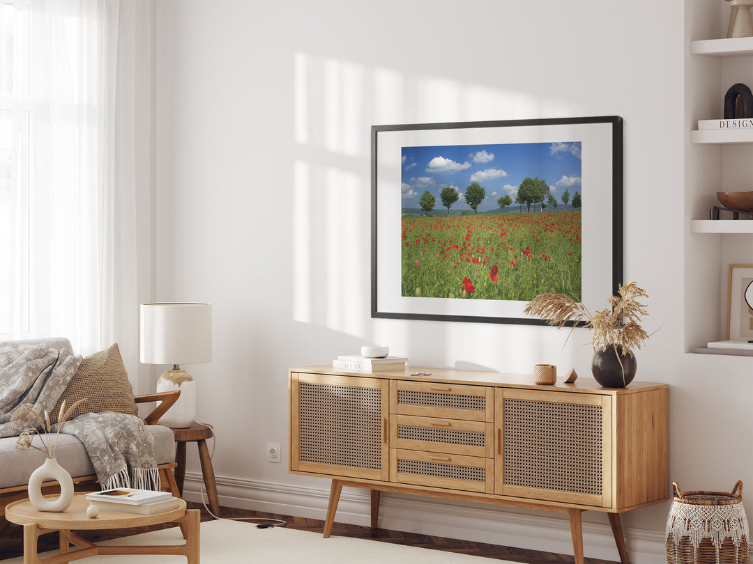 Poppy Flower Field I | Fine Art Photography Print