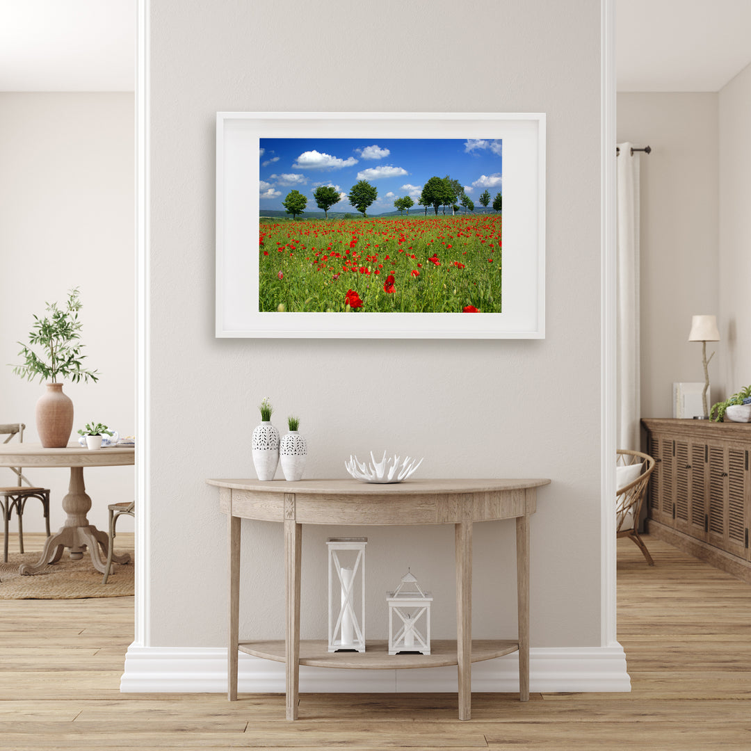 Poppy Flower Field I | Fine Art Photography Print