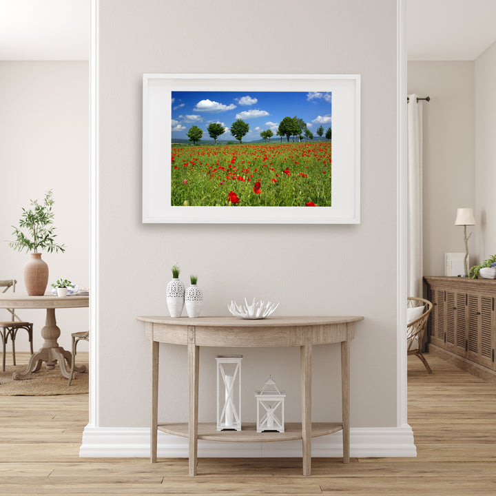 Poppy Flower Field I | Fine Art Photography Print