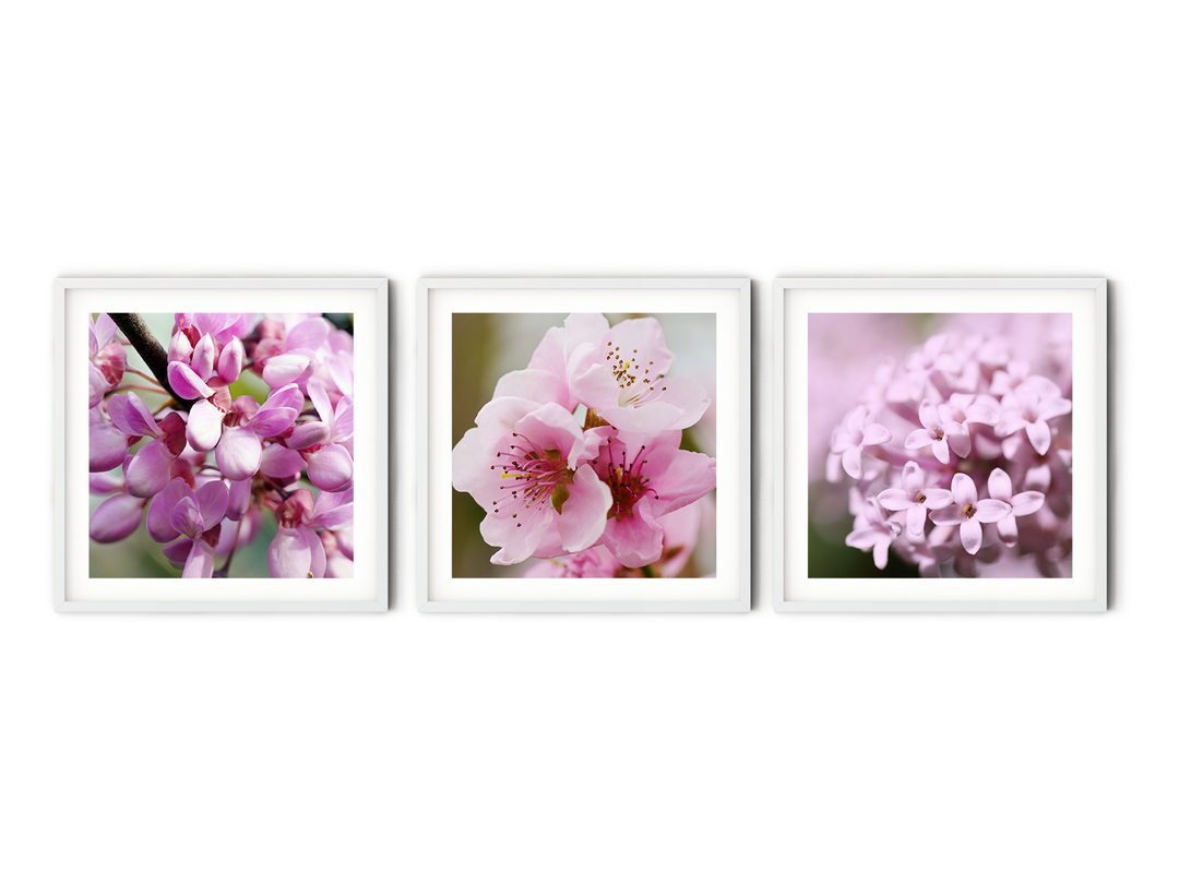 Pink Spring Flower Gallery Wall | Fine Art Photography Print Set