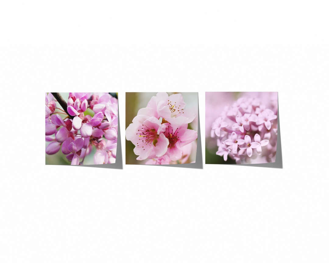 Rosa Frühlingsblumen Bilderwand | Fine Art Poster Print Set