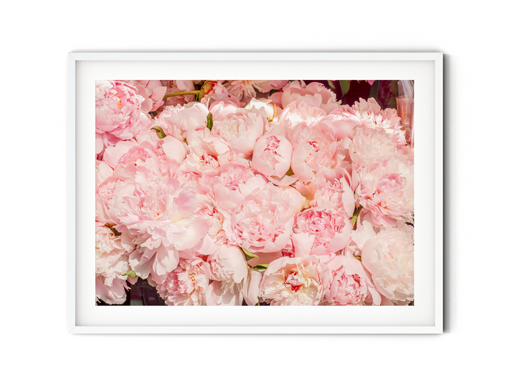 Parisian Flower Market | Fine Art Photography Print