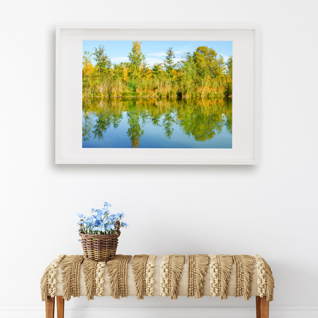 Fall Foliage | Fine Art Photography Print