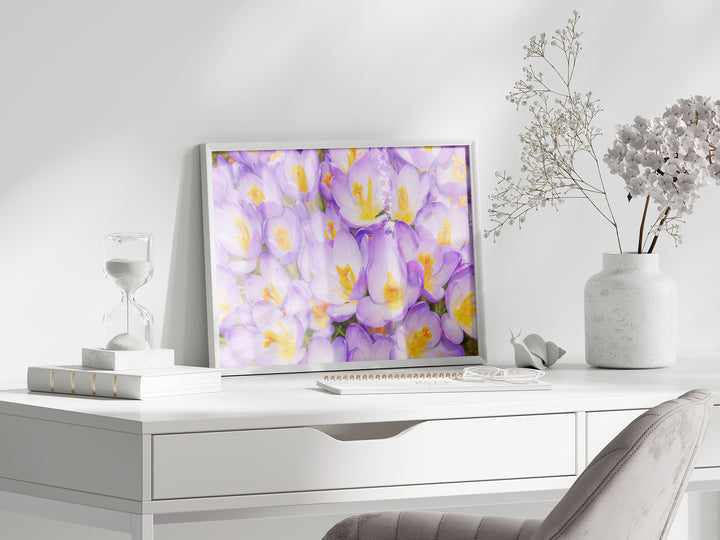 Purple Crocuses | Fine Art Photography Print