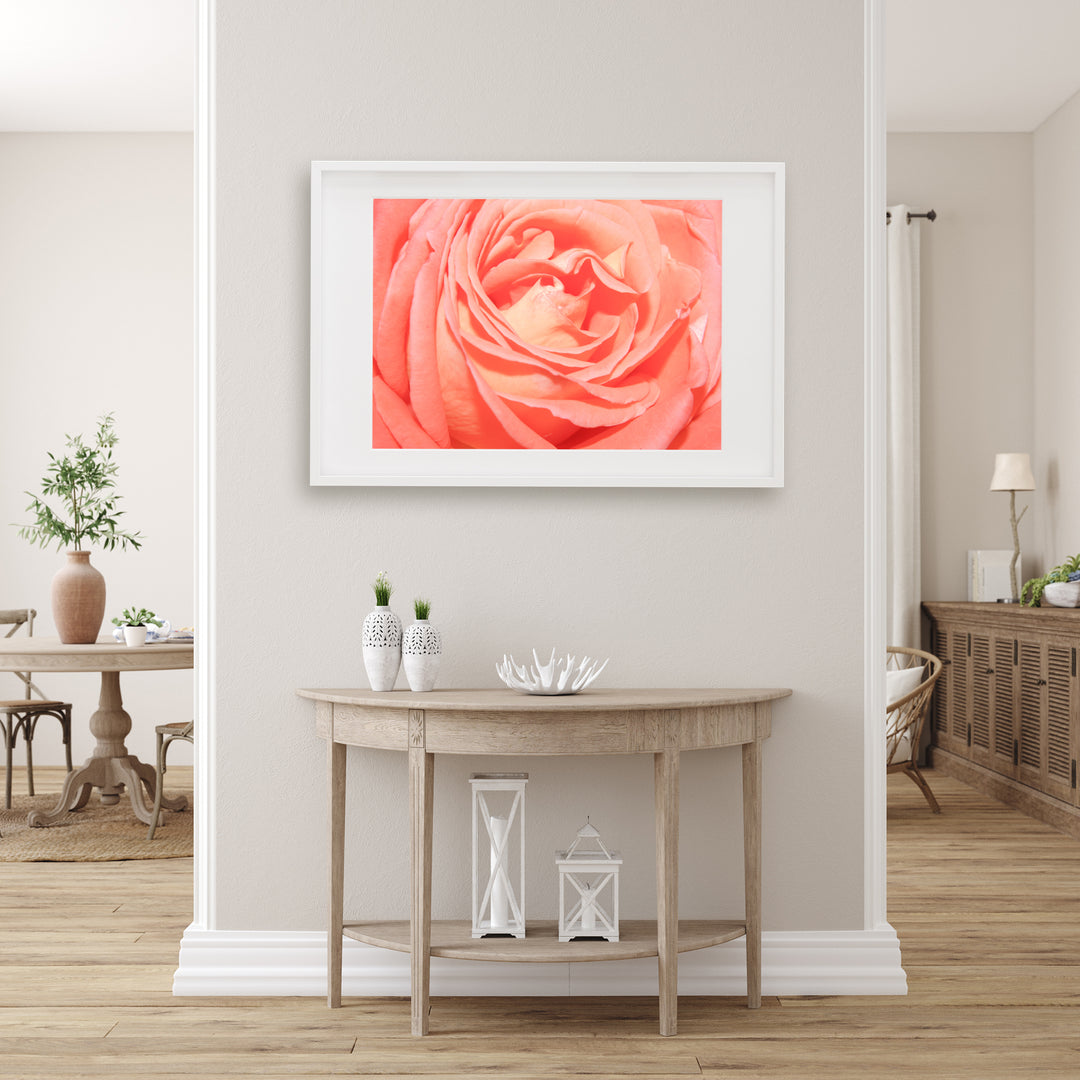 Orange Rose | Fine Art Photography Print