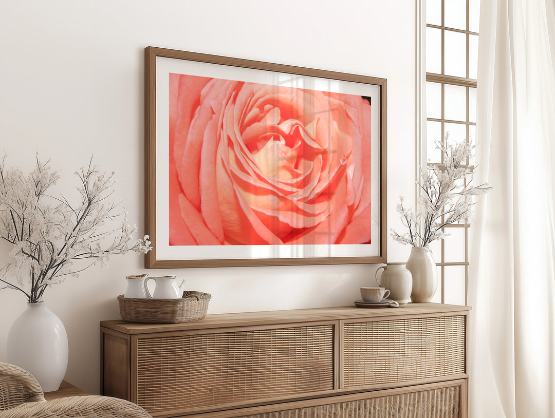 Orange Rose | Fine Art Photography Print