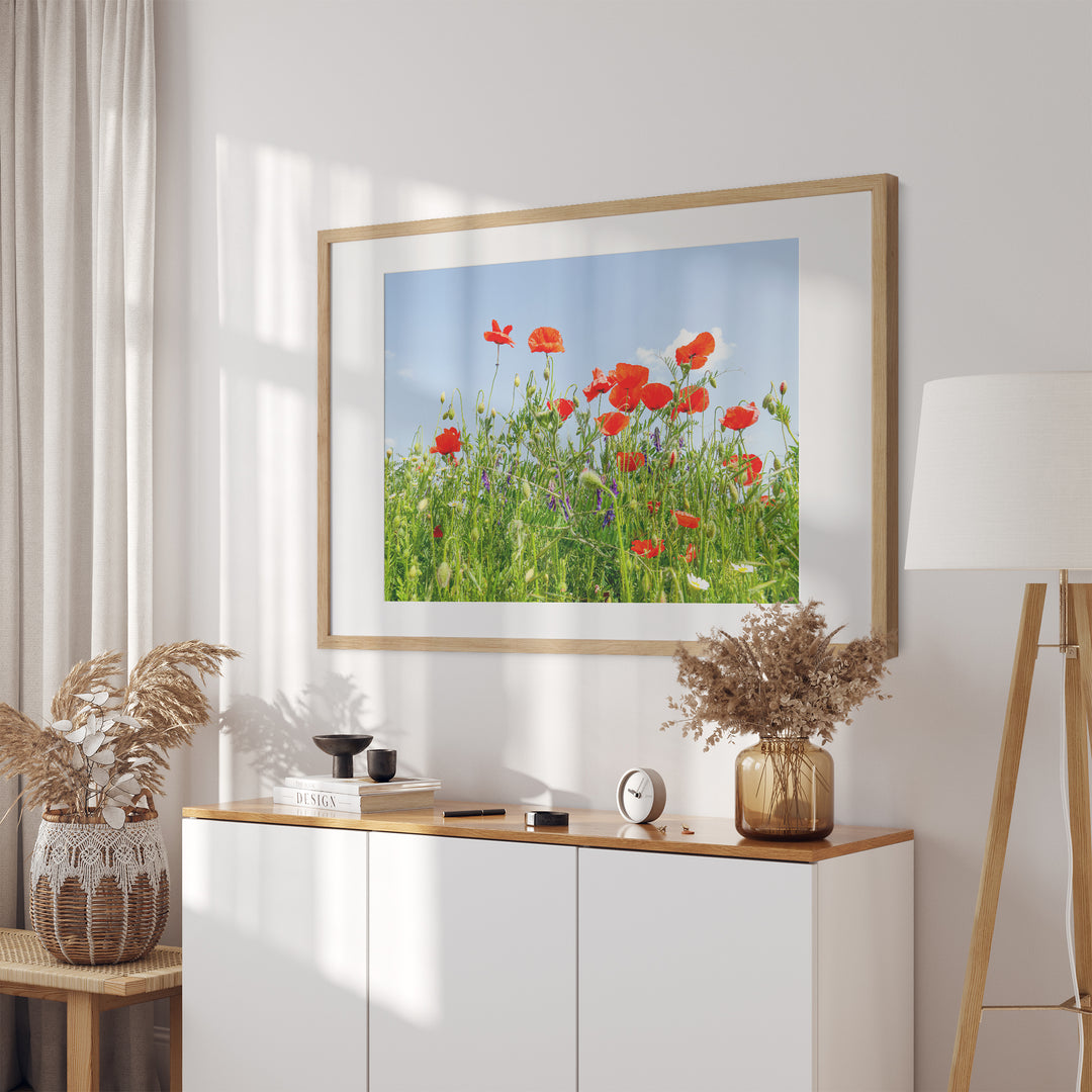 Poppy Flower Field II | Fine Art Photography Print