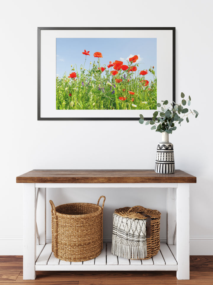 Poppy Flower Field II | Fine Art Photography Print