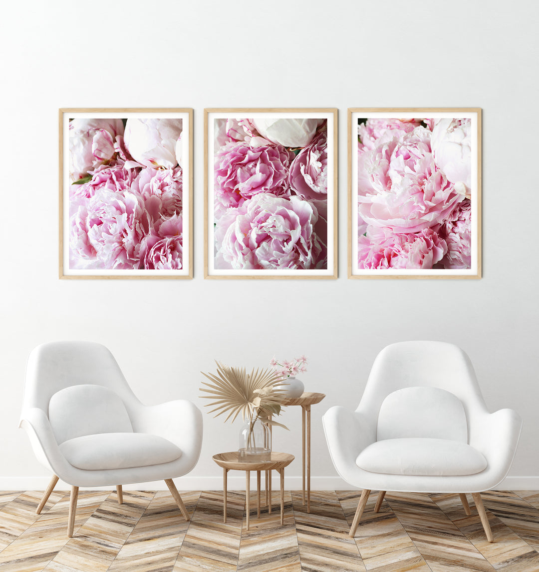 Pink Peonies Gallery Wall I | Fine Art Photography Print Set