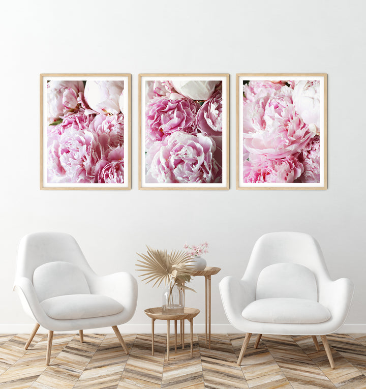 Pink Peonies Gallery Wall I | Fine Art Photography Print Set