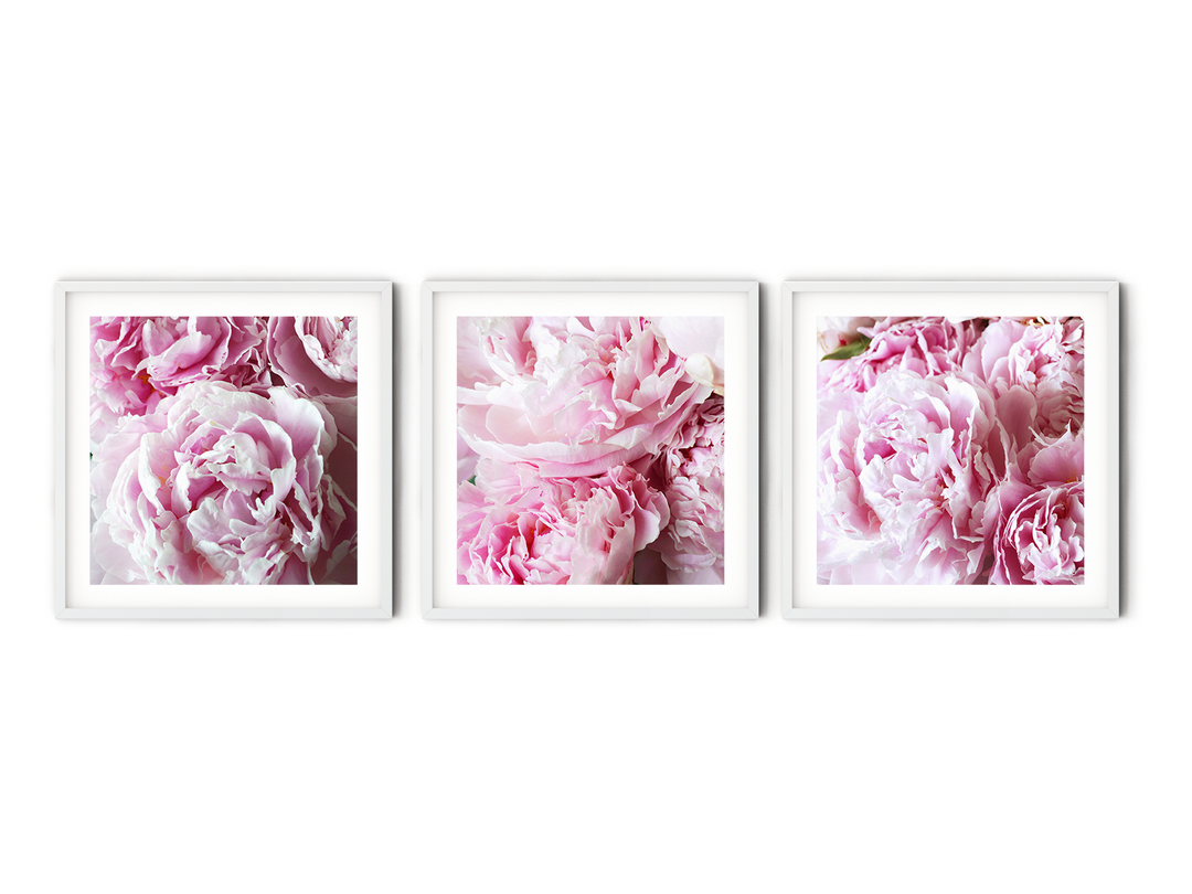 Pink Peonies Gallery Wall II | Fine Art Photography Print Set