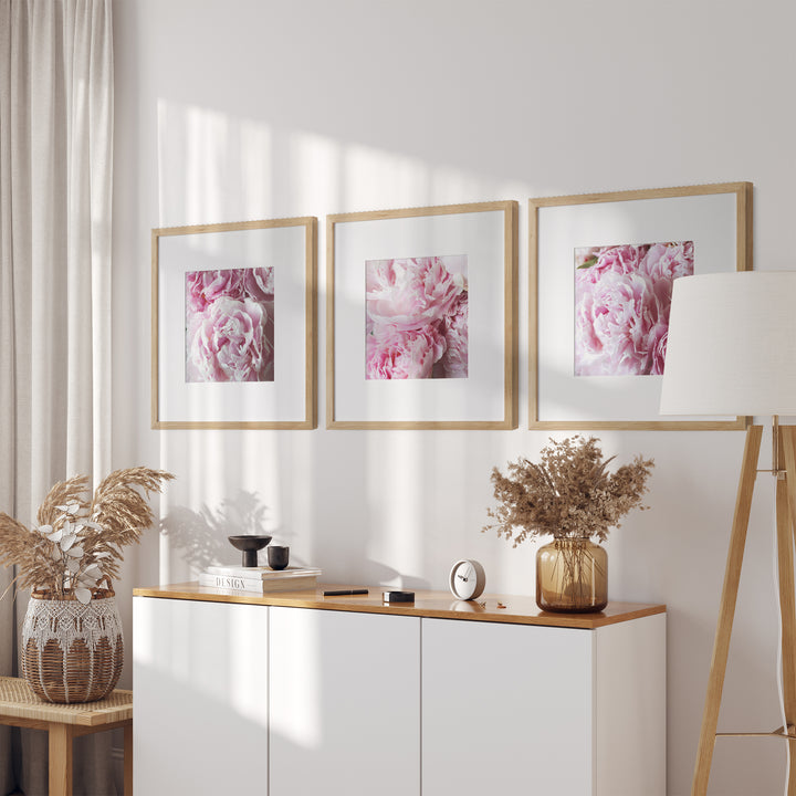 Pink Peonies Gallery Wall II | Fine Art Photography Print Set