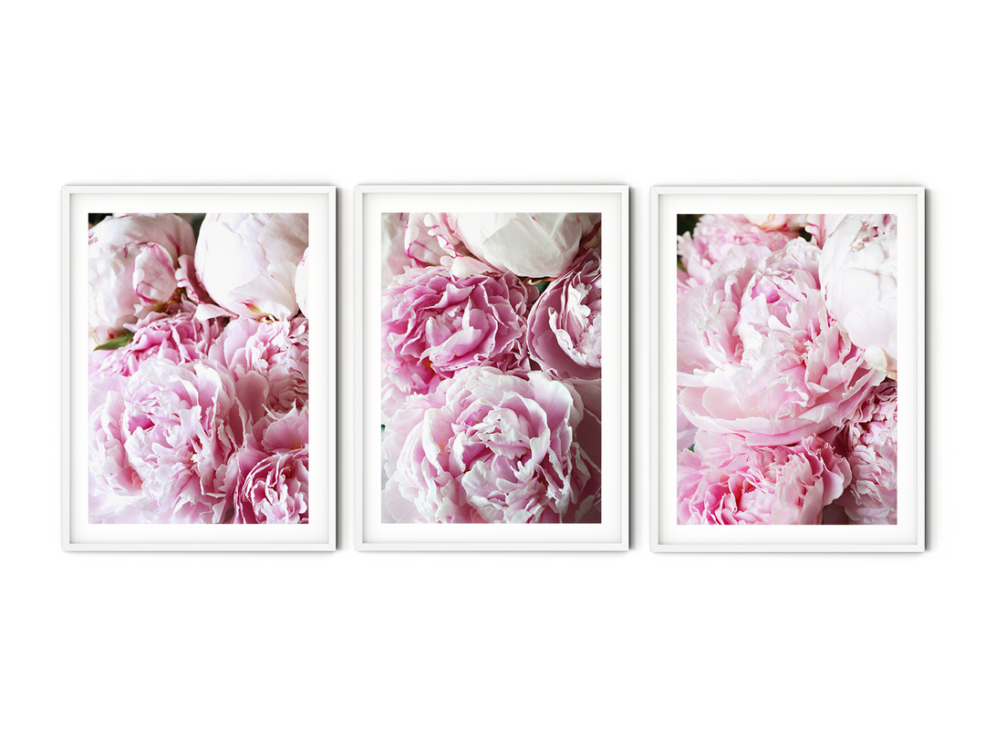 Pink Peonies Gallery Wall I | Fine Art Photography Print Set