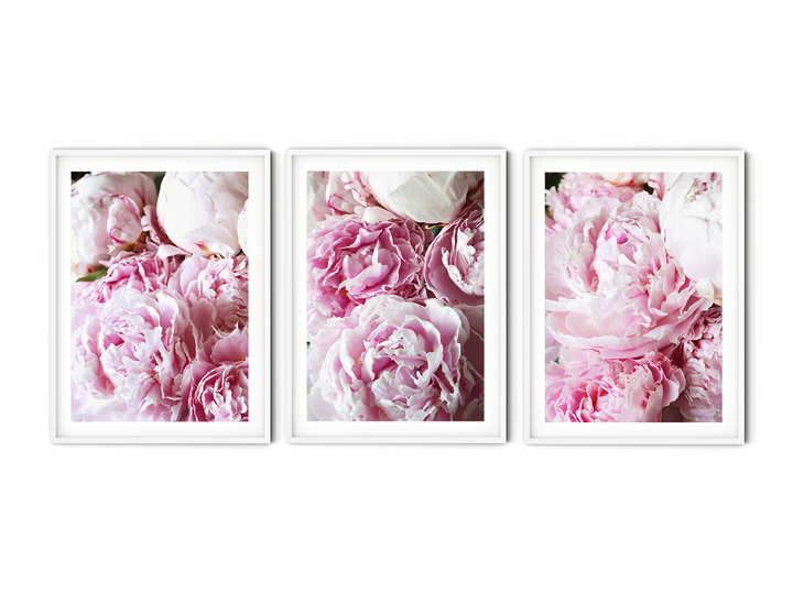 Pink Peonies Gallery Wall I | Fine Art Photography Print Set