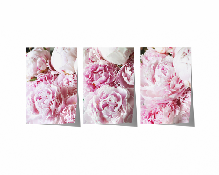 Pink Peonies Gallery Wall I | Fine Art Photography Print Set