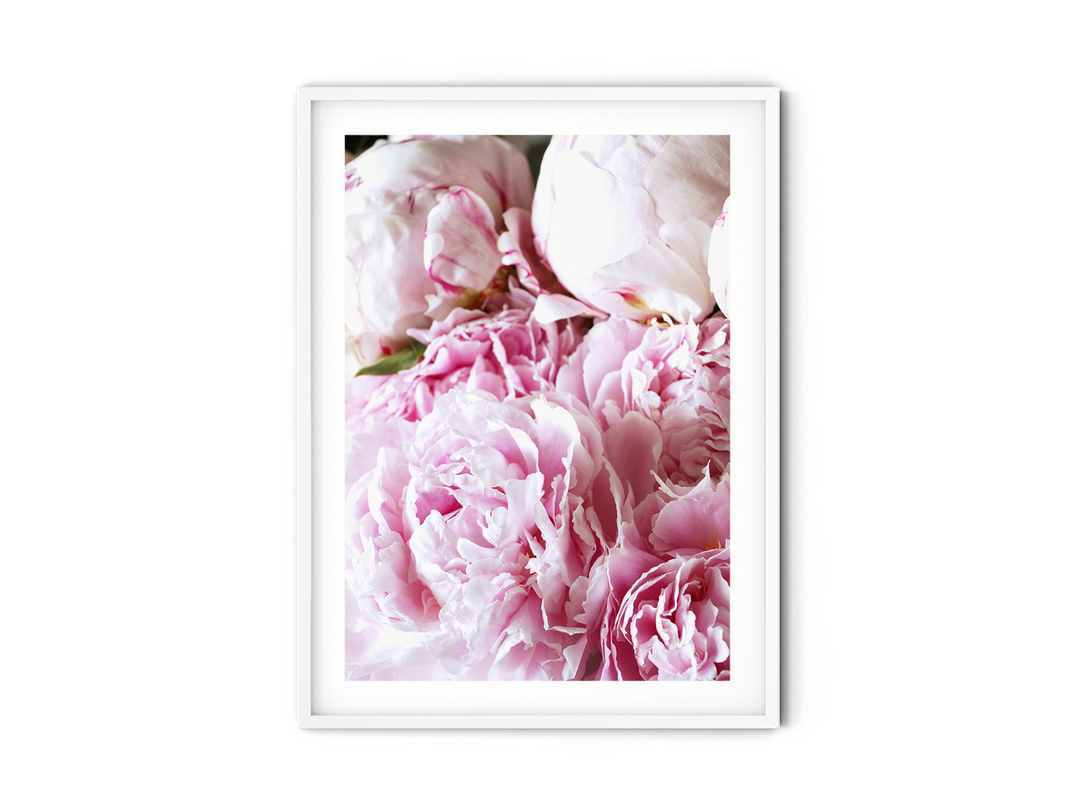 Pink Peonies V | Fine Art Photography Print