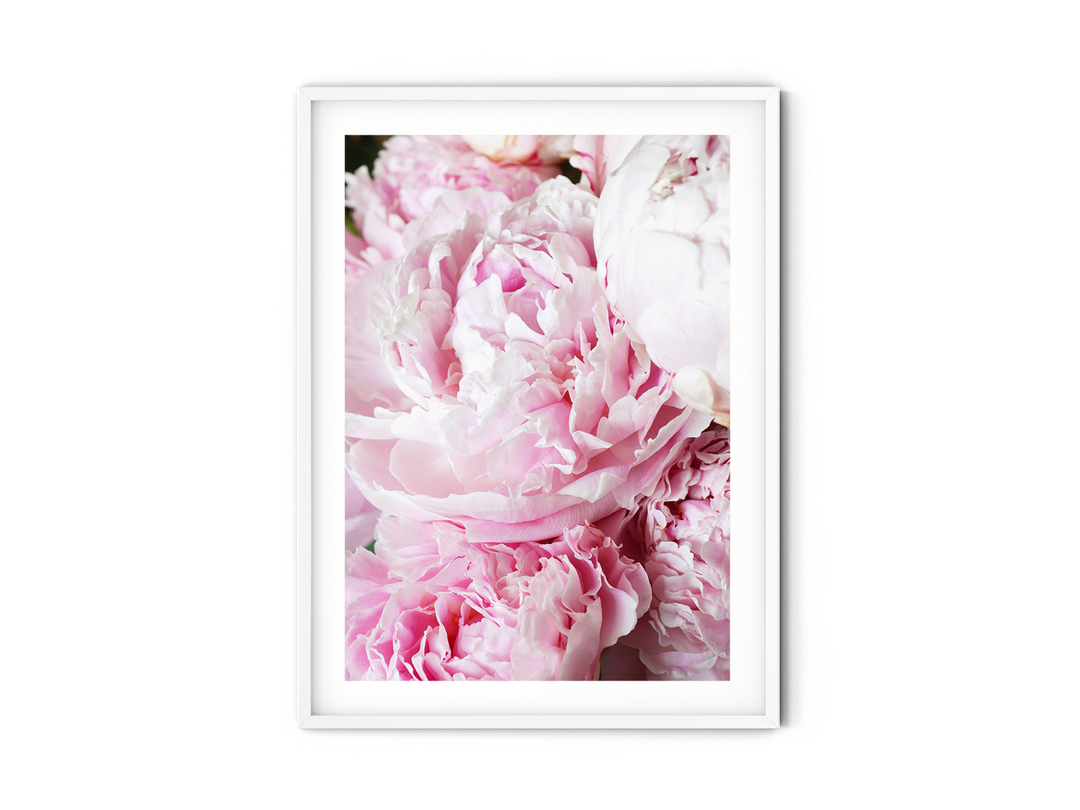 Pink Peonies VI | Fine Art Photography Print