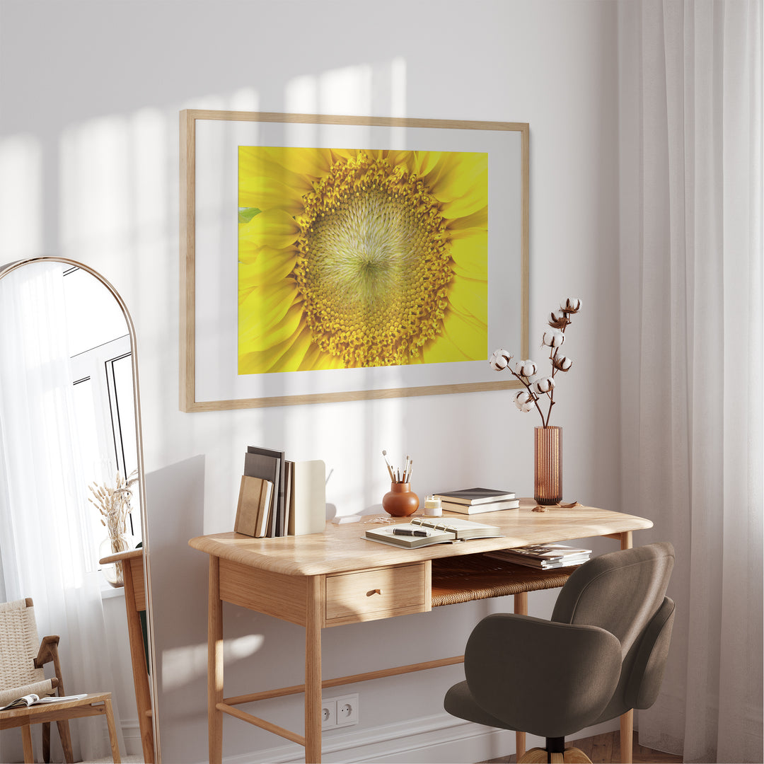 Sunflower | Fine Art Photography Print