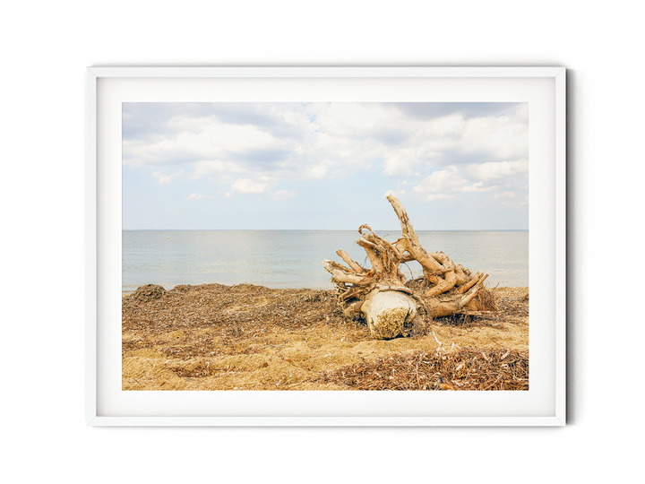 Beach Driftwood I | Fine Art Photography Print