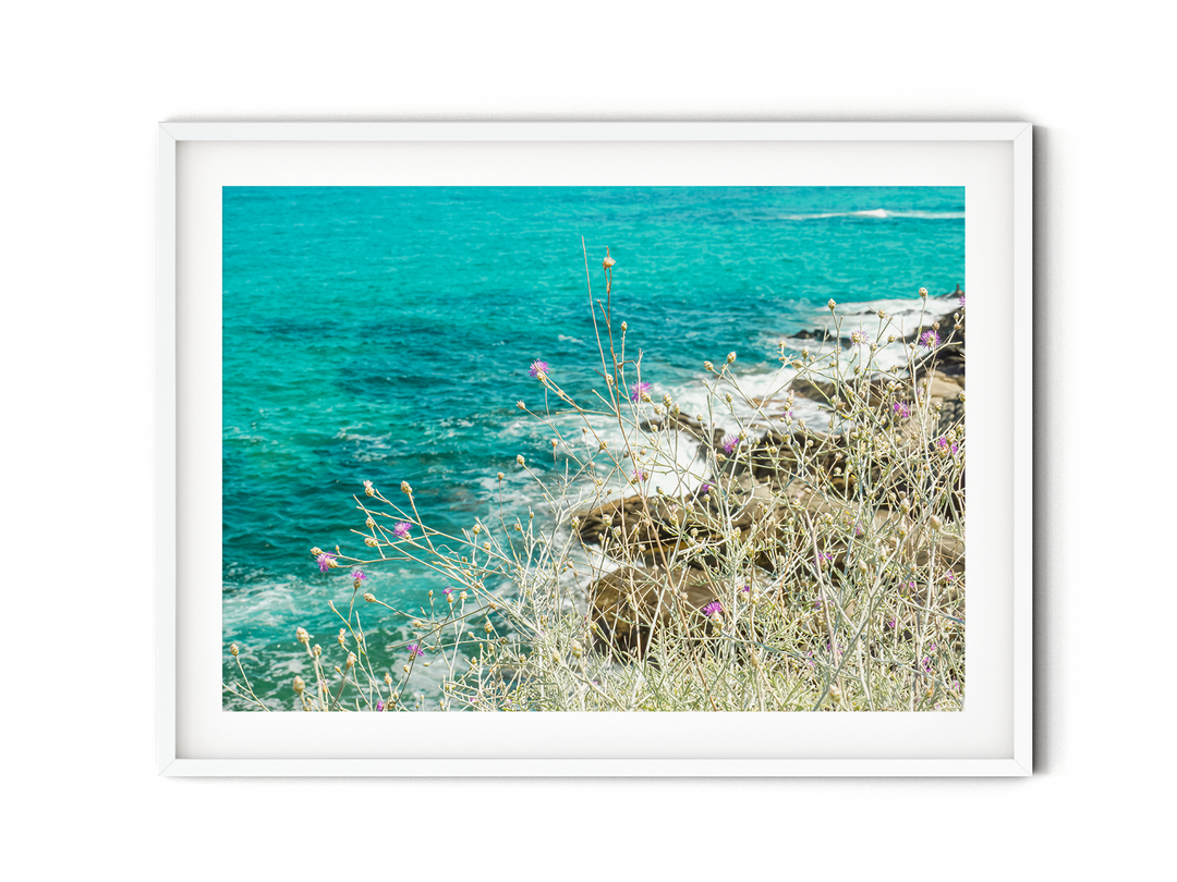 Coastal Wildflowers I | Fine Art Photography Print