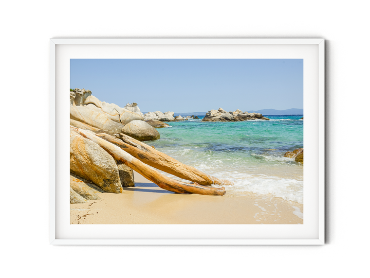 Beach Driftwood II | Fine Art Photography Print