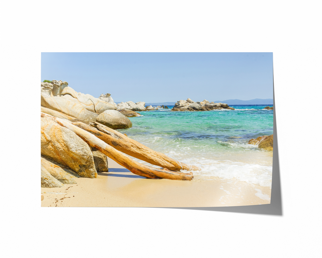 Beach Driftwood II | Fine Art Photography Print