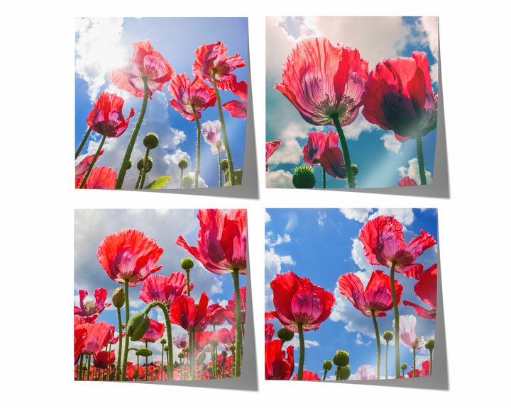 Poppy Flower Gallery Wall | Fine Art Photography Print Set