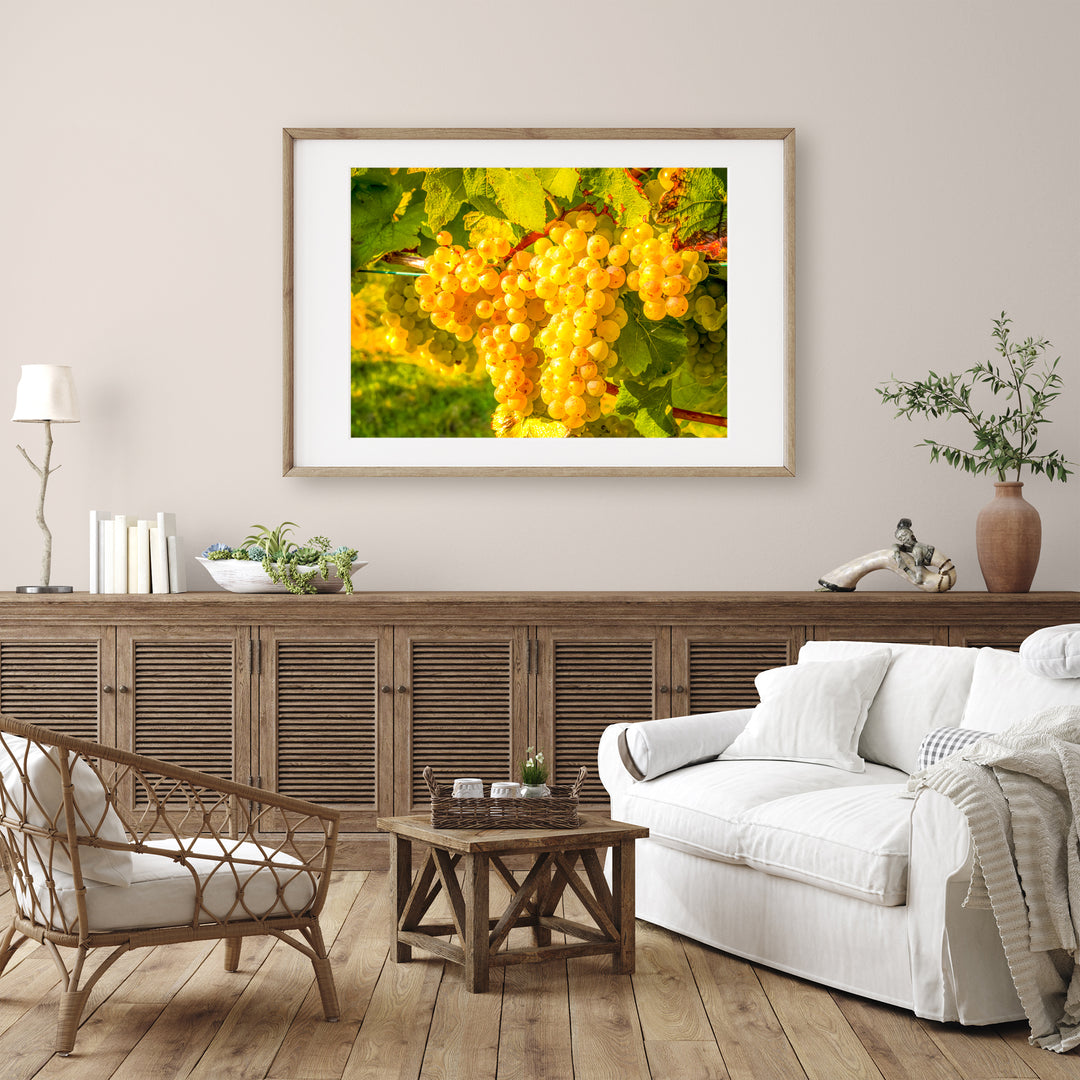 White Grapes | Fine Art Photography Print