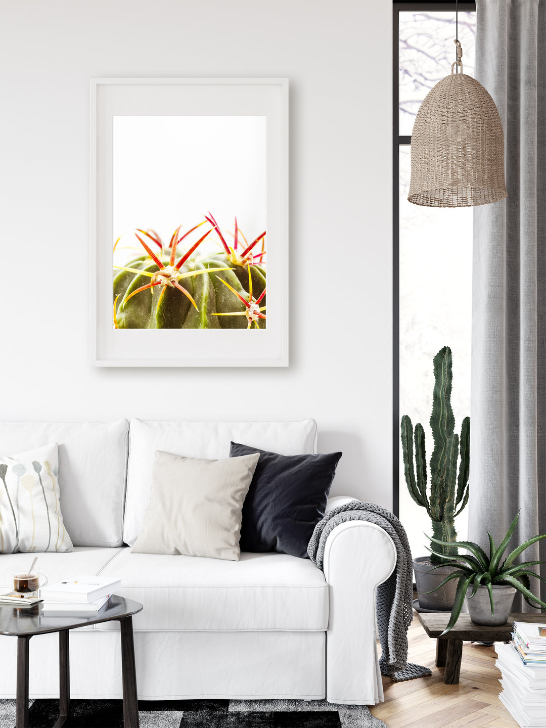 Green Cactus I | Fine Art Photography Print