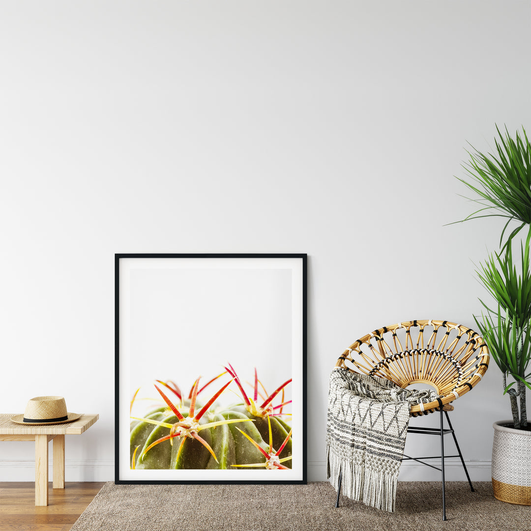 Green Cactus I | Fine Art Photography Print