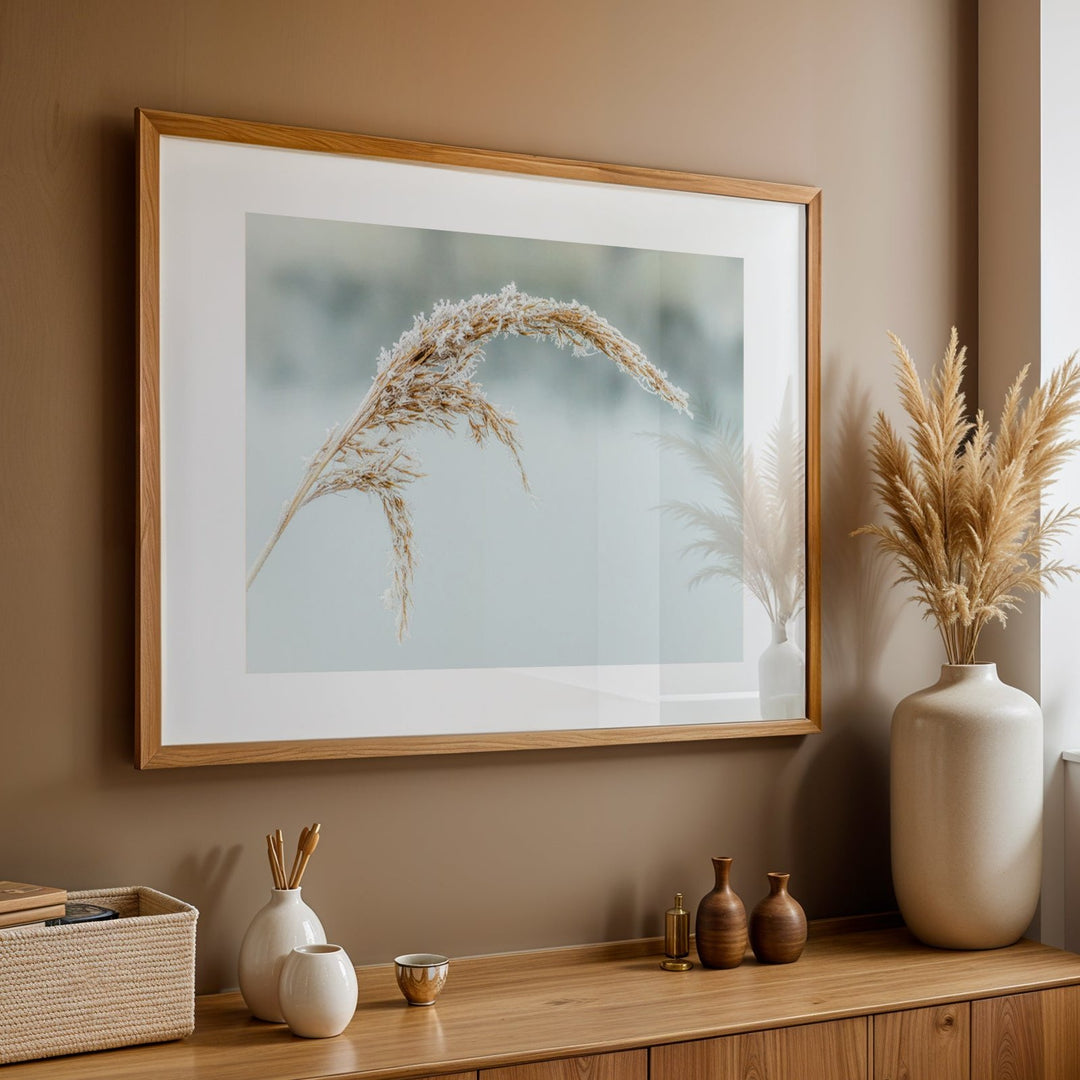 Snowy Reed | Fine Art Photography Print