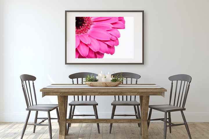 Pink Daisy Flower III | Fine Art Photography Print