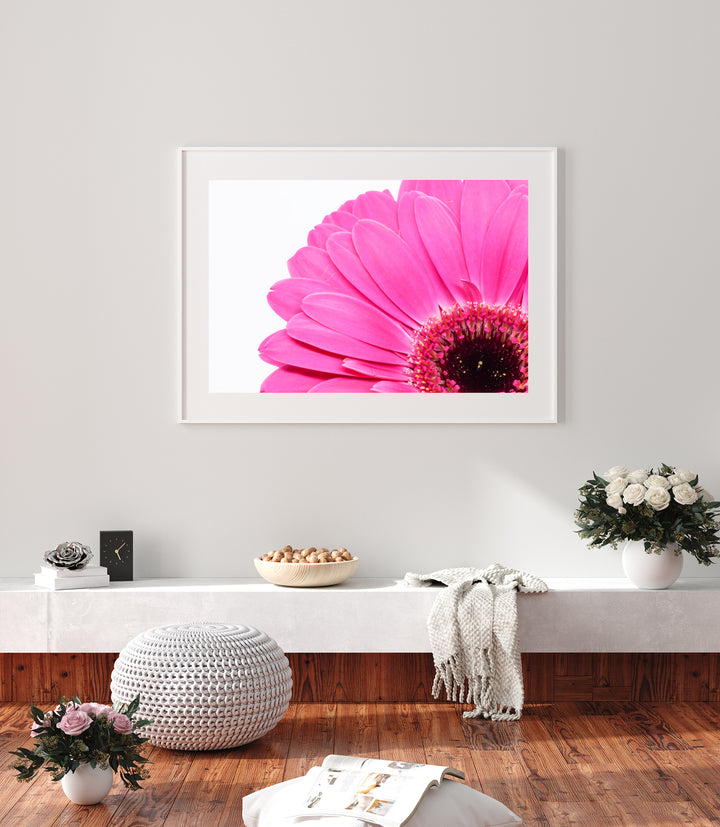 Pink Daisy Flower IV | Fine Art Photography Print