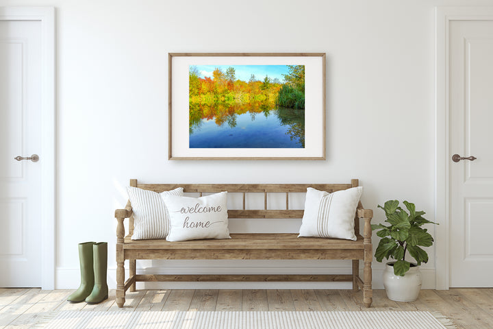 Fall Colors | Fine Art Photography Print