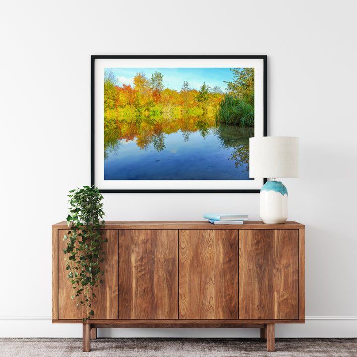 Fall Colors | Fine Art Photography Print