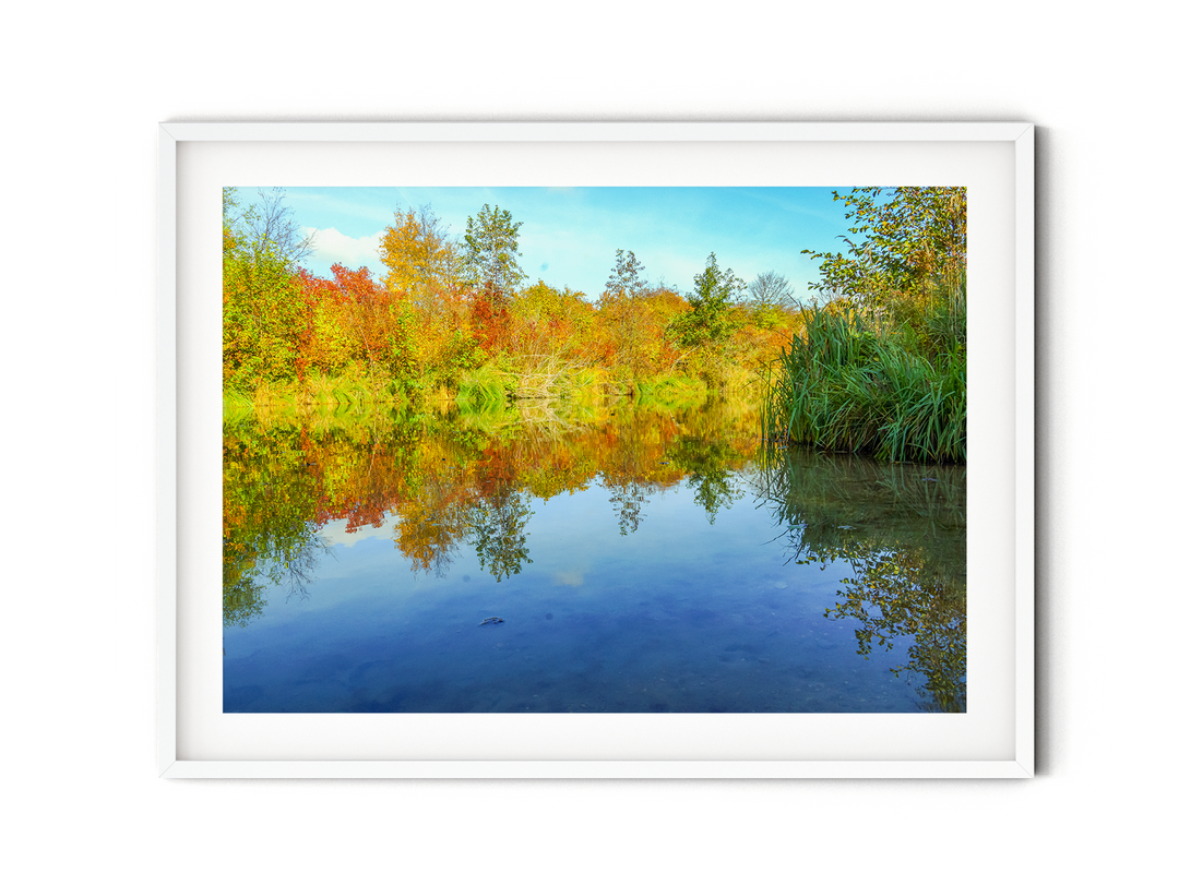 Fall Colors | Fine Art Photography Print