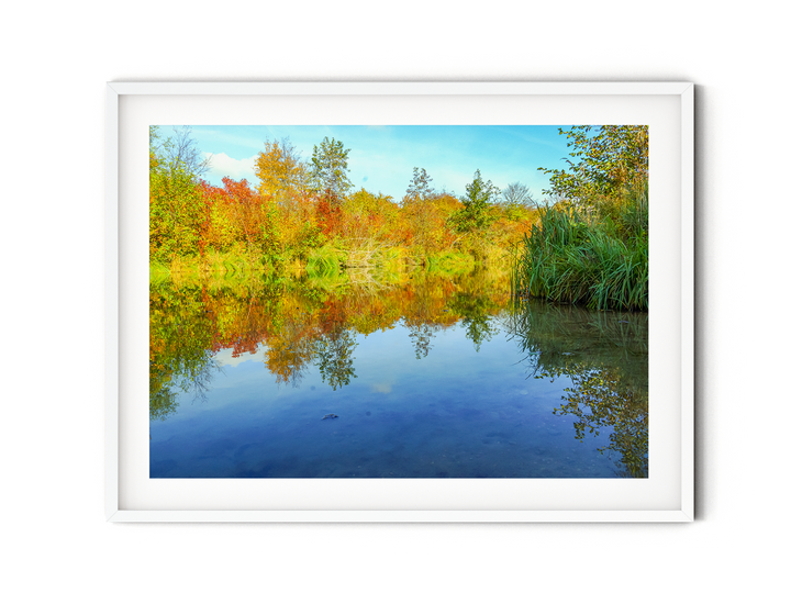 Fall Colors | Fine Art Photography Print