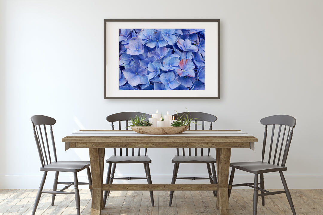 Blaue Hortensie | Fine Art Poster Print