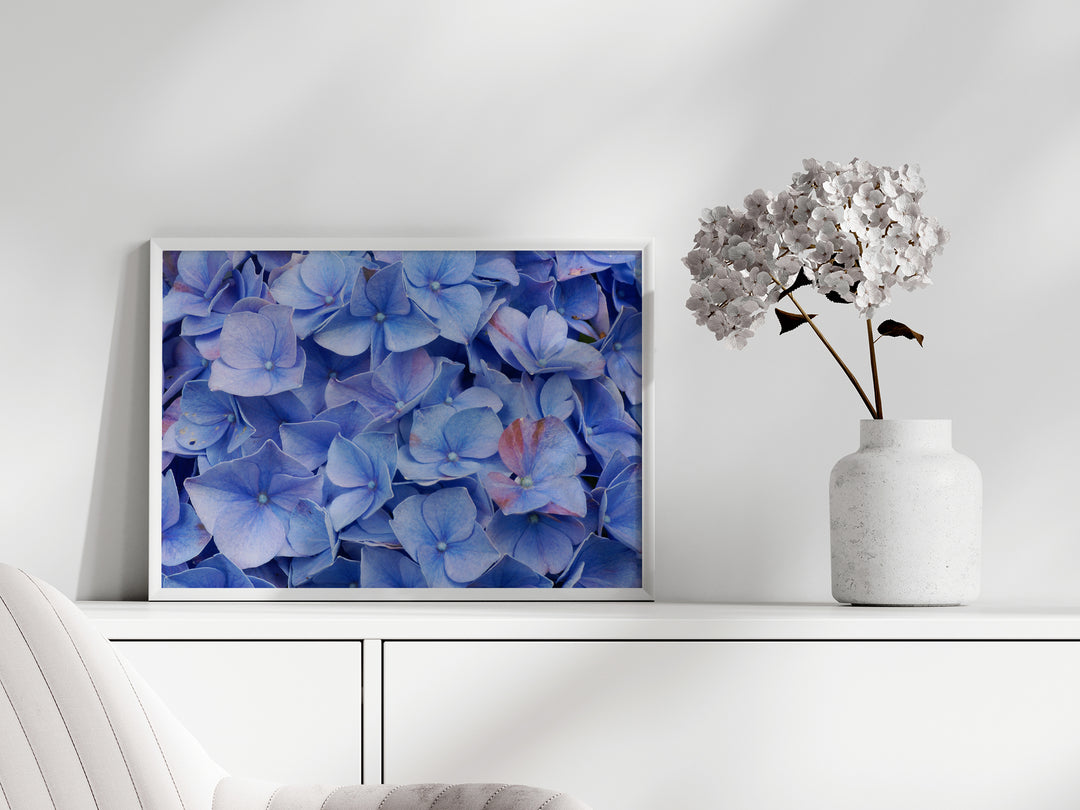 Blaue Hortensie | Fine Art Poster Print