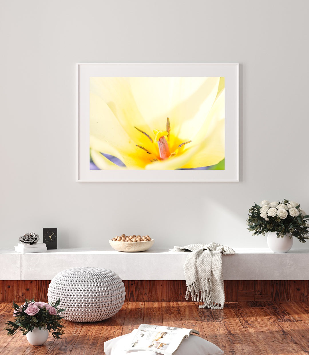 Yellow Tulip | Fine Art Photography Print