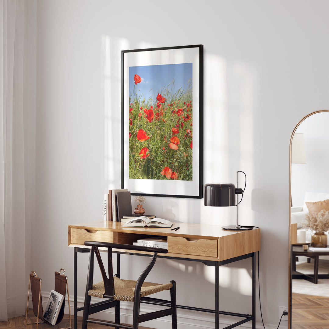 Red Poppy Field I | Fine Art Photography Print