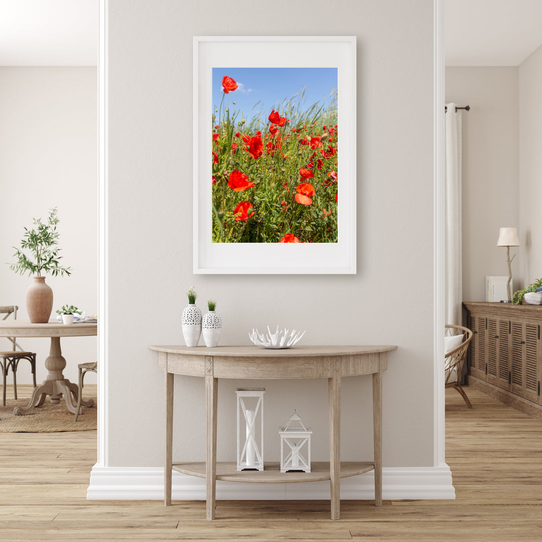 Red Poppy Field I | Fine Art Photography Print