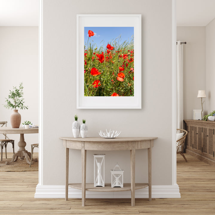 Red Poppy Field I | Fine Art Photography Print