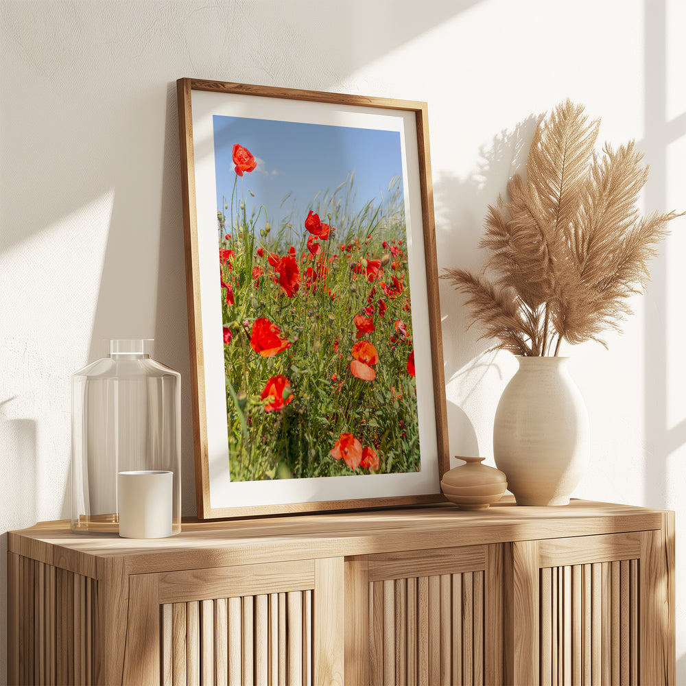 Red Poppy Field I | Fine Art Photography Print