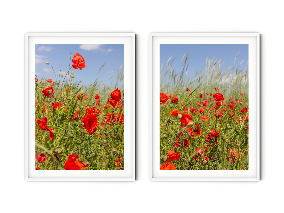 Red Poppy Field Gallery Wall | Fine Art Photography Print Set