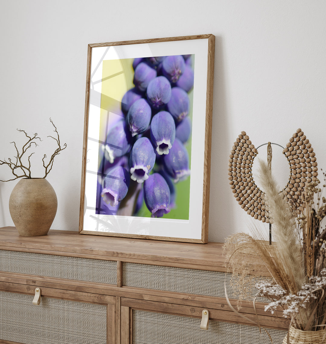 Grape Hyacinth | Fine Art Photography Print