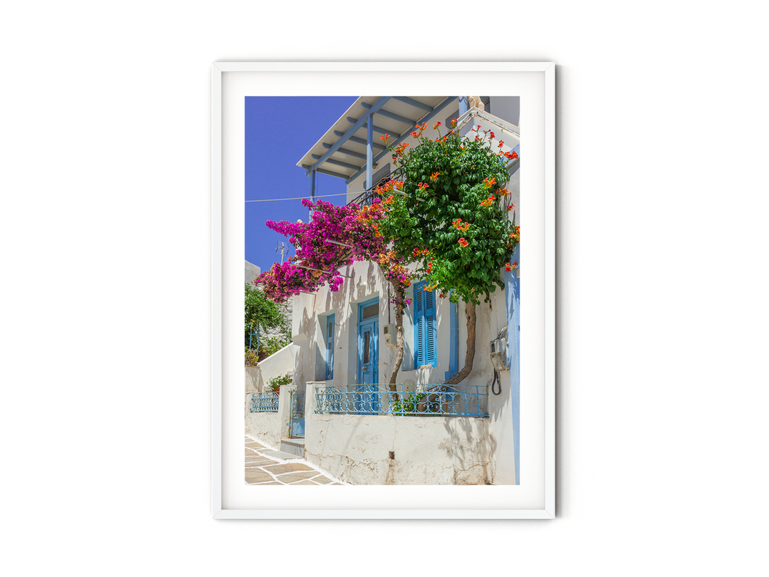 Paros Island Bougainvillea | Fine Art Photography Print