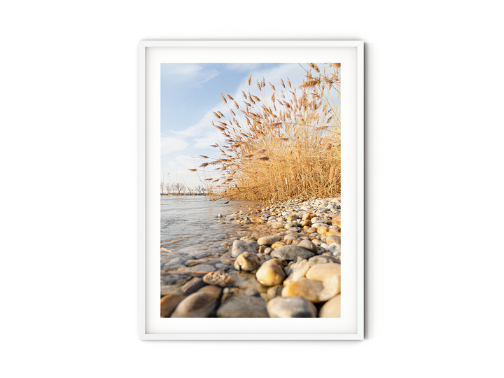 Calm Lake Shoreline | Fine Art Photography Print