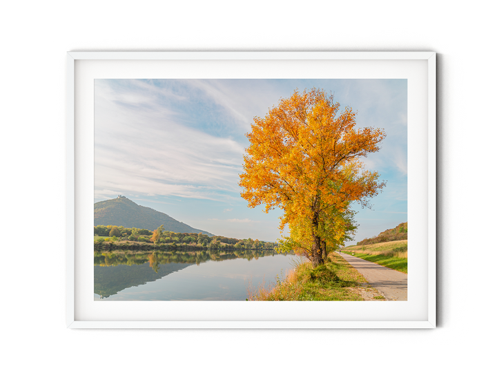 Calm Fall Scenery | Fine Art Photography Print