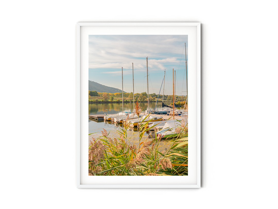 Sailboat Marina | Fine Art Photography Print